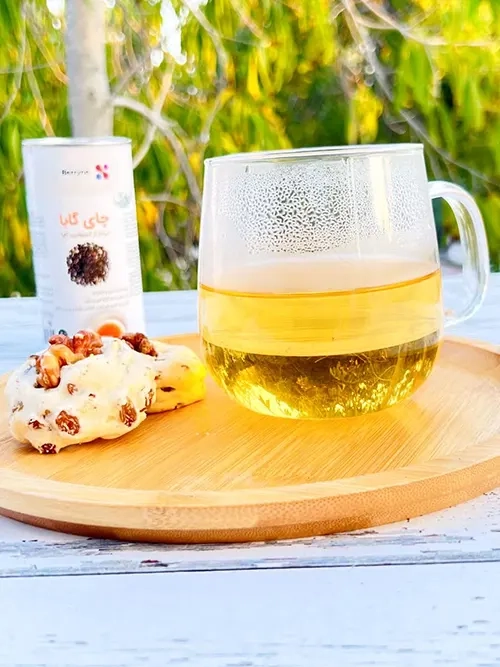 چای گابا پپتینا قوطی 40 گرمی